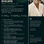 BI FULLSTACK DEVELOPER